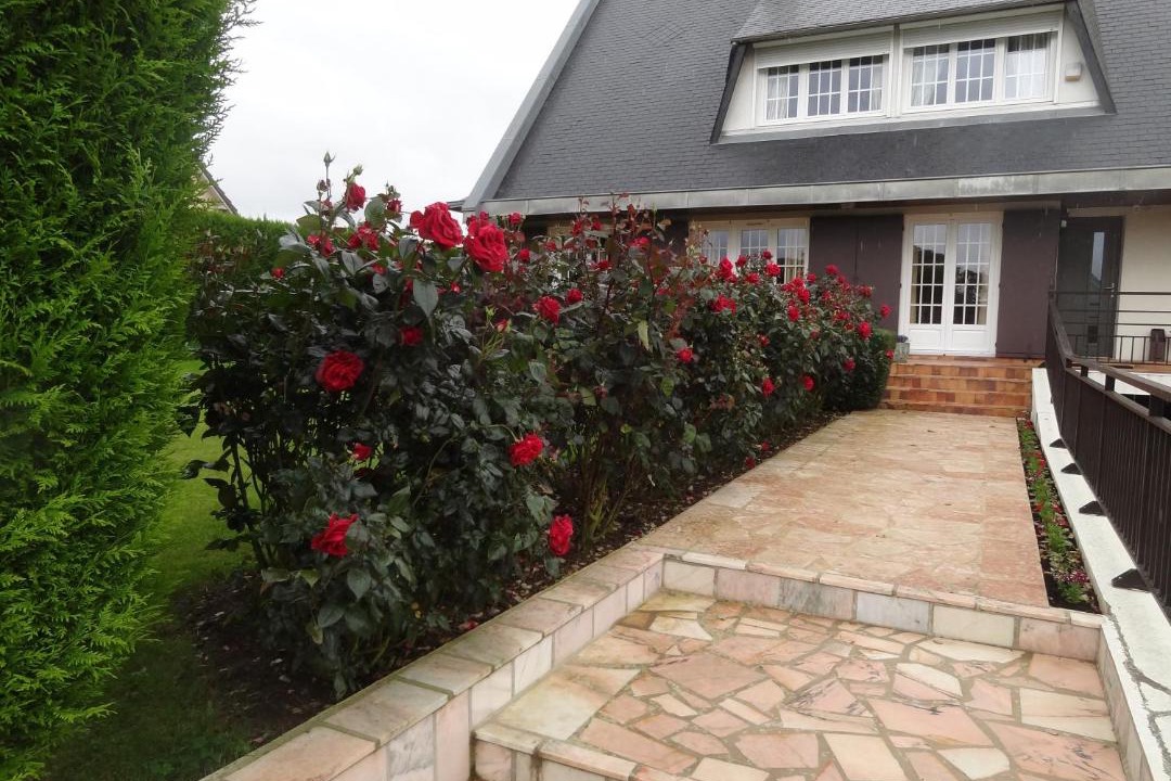 Photo of Others in Boos