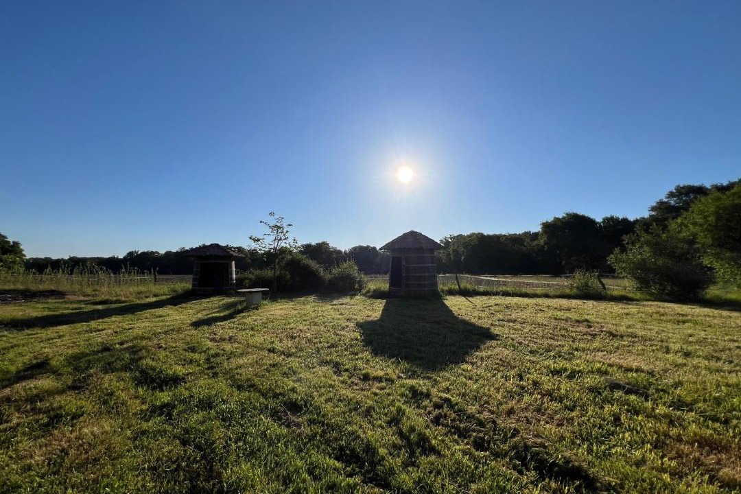 Photo of Others in Pomarez