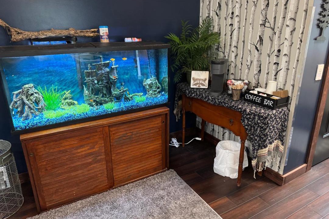 Photo of Others in Rochester