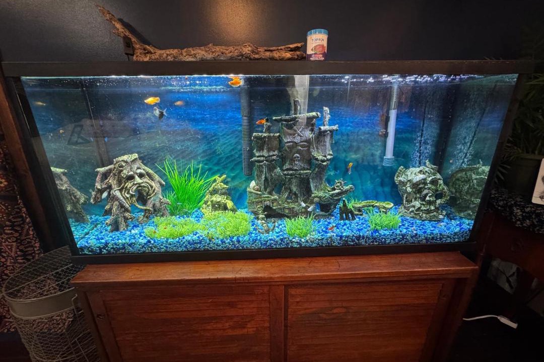 Photo of Others in Rochester