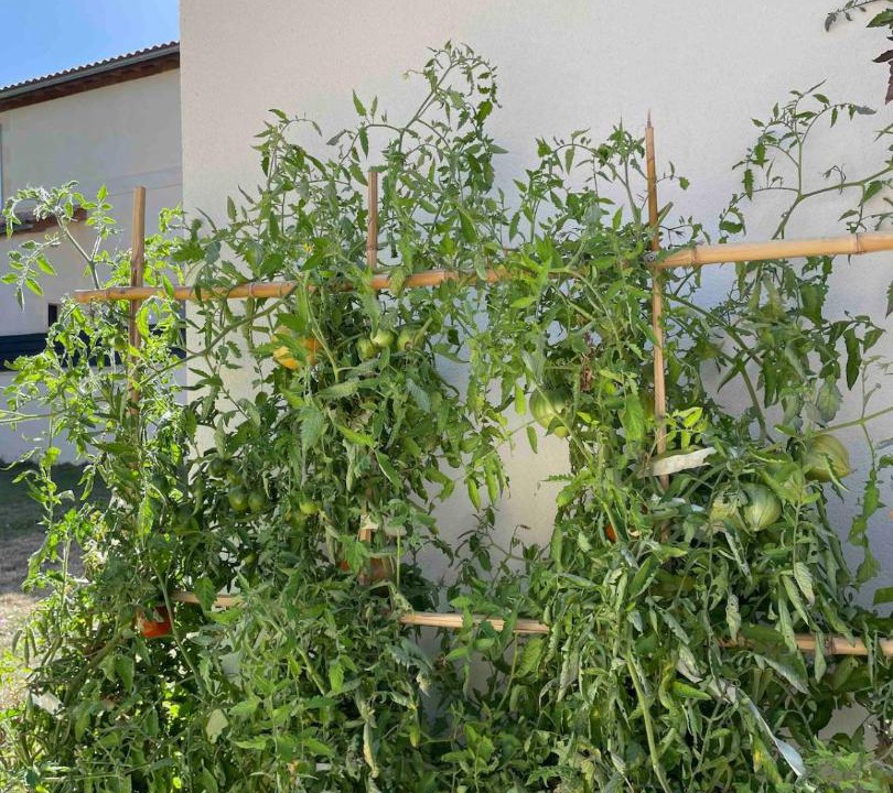 Photo of Others in Beychac-et-Caillau