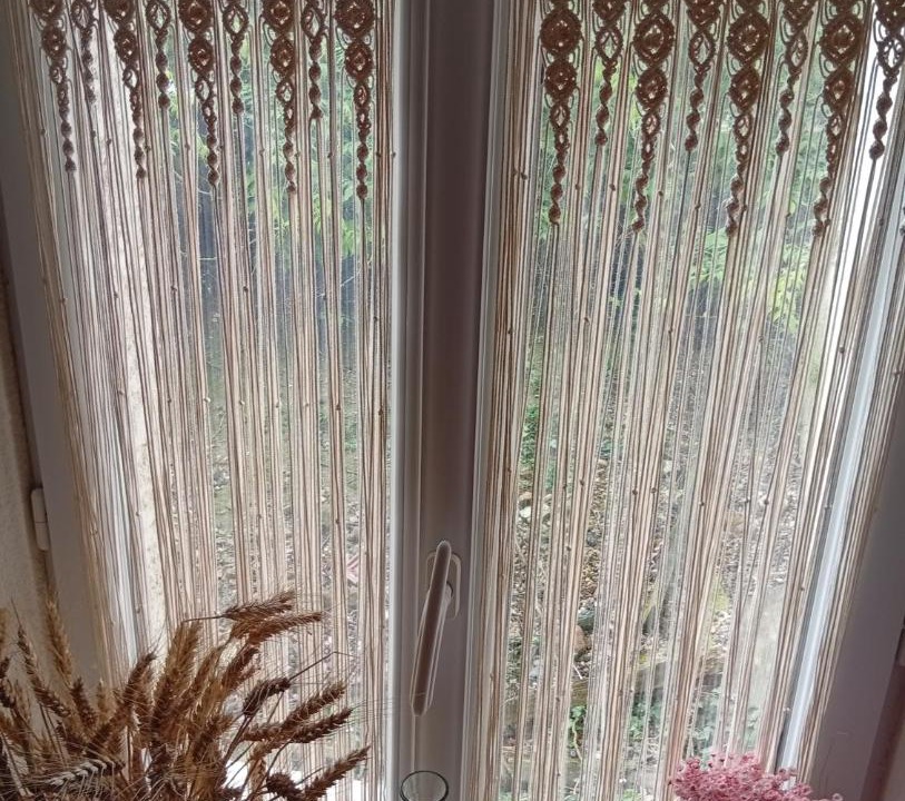 Photo of Others in Pajay