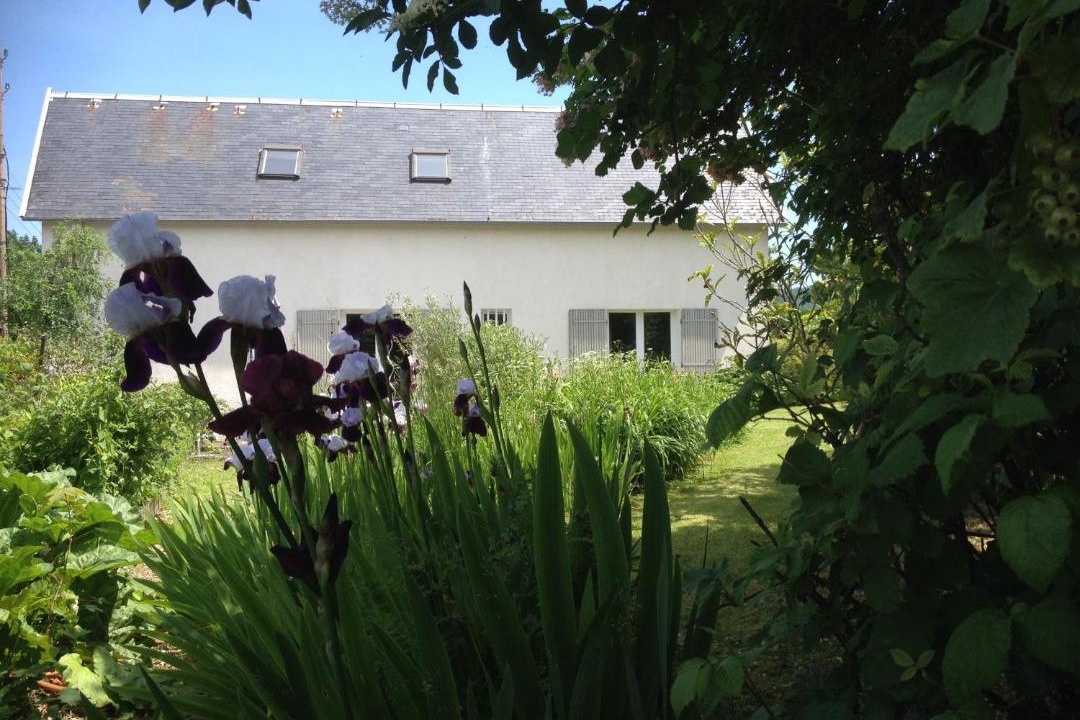 Photo of Buildings in Villerville