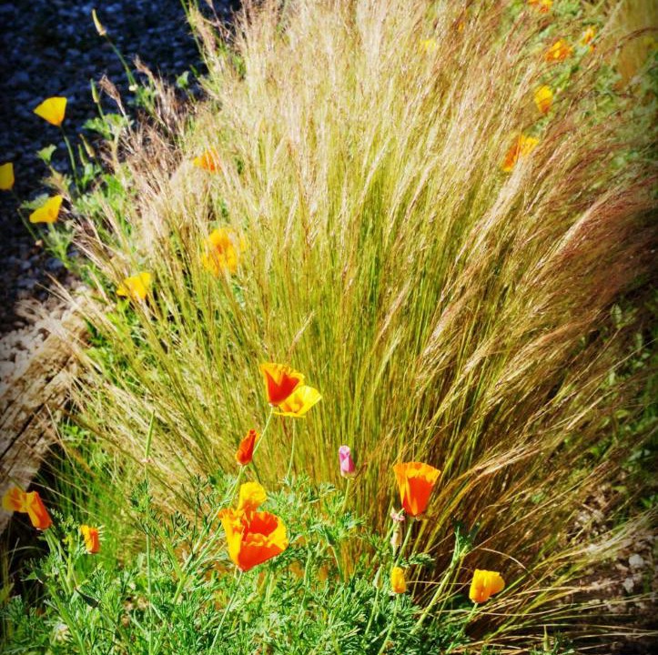 Photo of Outdoor in Mont-Saint-Eloi