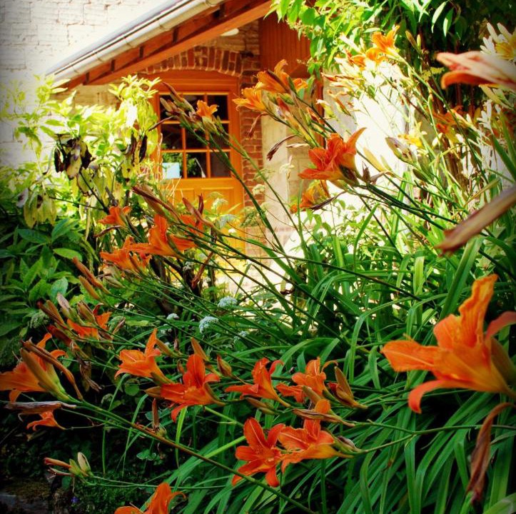 Photo of Others in Mont-Saint-Eloi