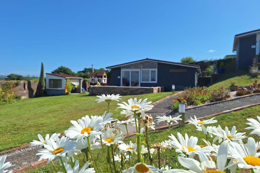 Photo of Others in Llanybri