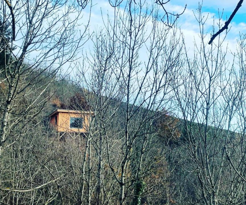 Photo of Others in Chamelet