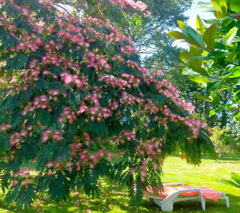 Photo of Outdoor in Tregunc