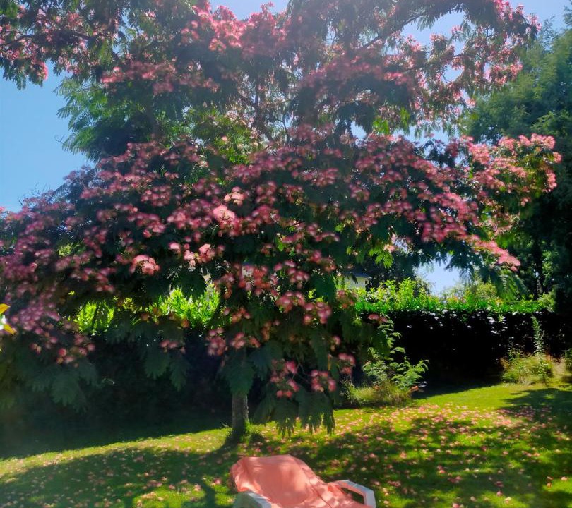 Photo of Others in Tregunc