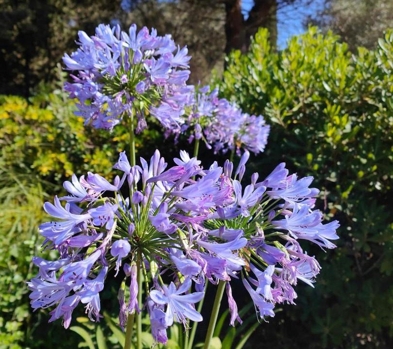 Photo of Others in Lunel