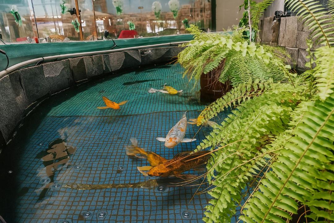 Photo of Others in Poza Rica
