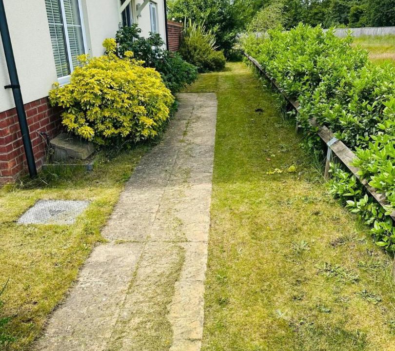 Photo of Others in Norwich