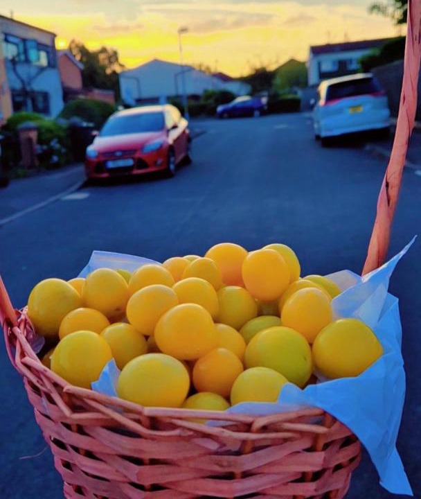 Photo of Others in Stonnall