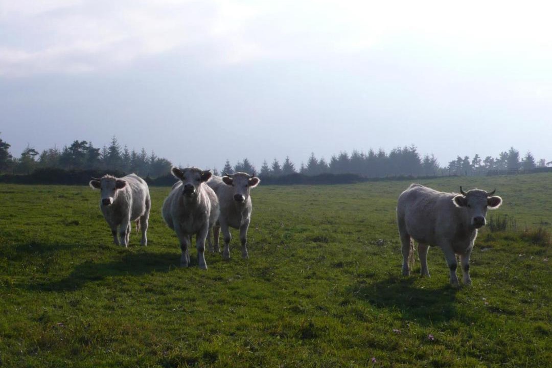 Photo of Others in Saint-Germain-Laval