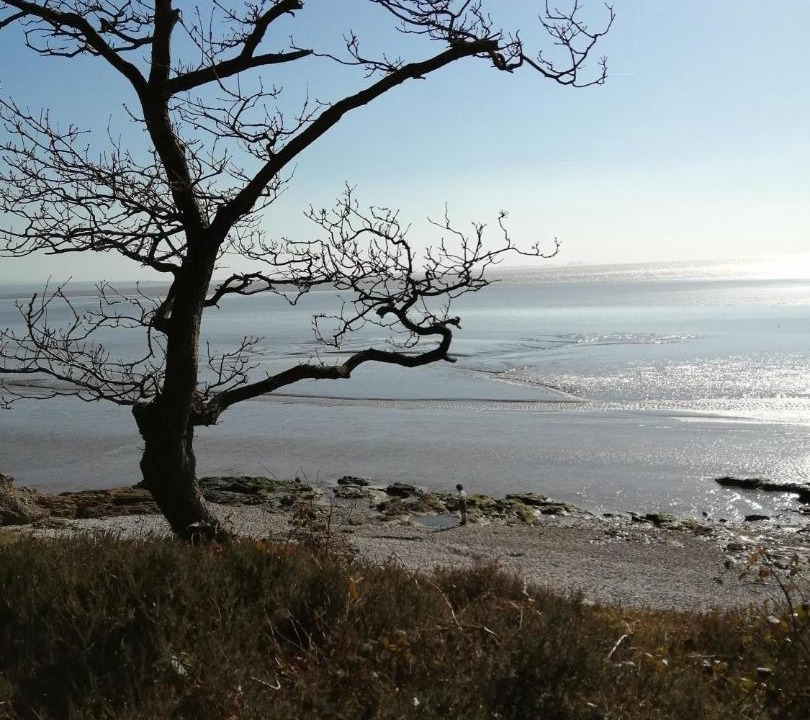 Photo of Others in Silverdale