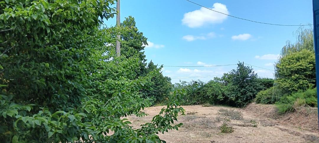 Photo of Others in Cravenceres