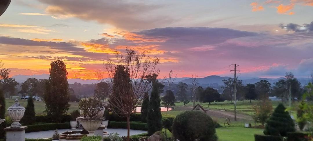 Photo of Others in The Bight