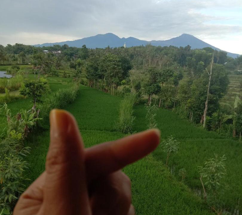 Photo of Others in Kecamatan Sikur