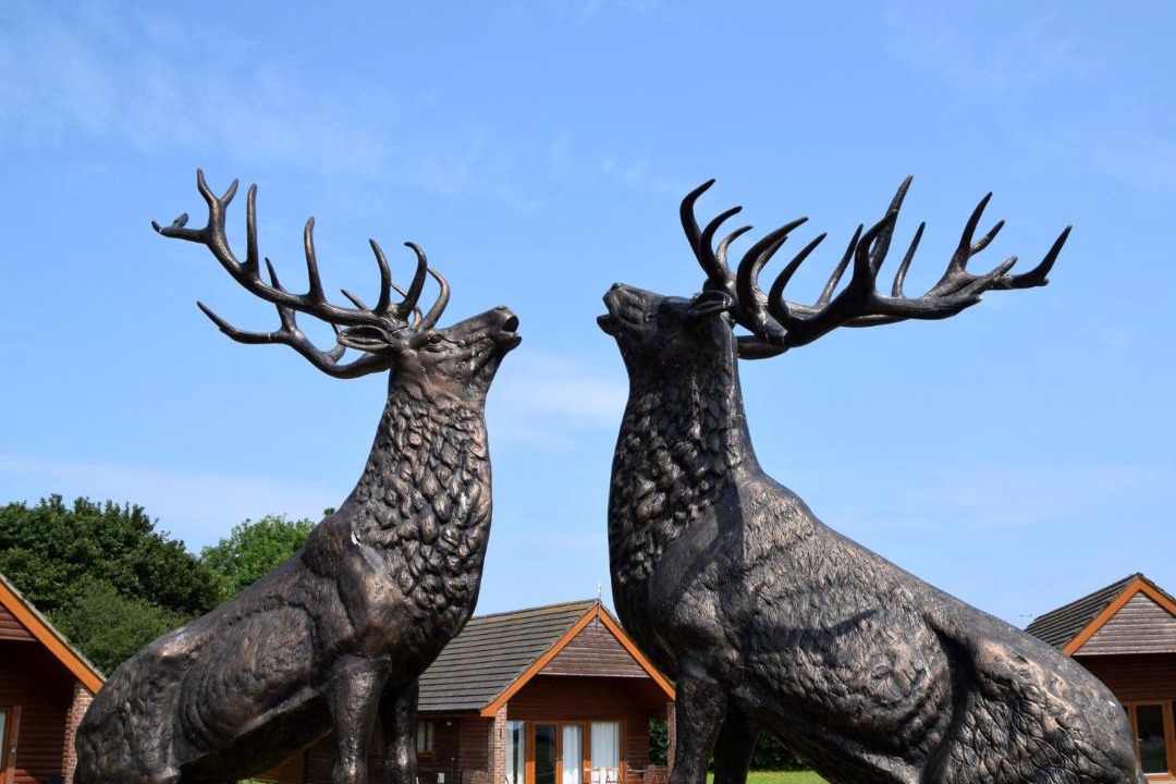 Photo of Others in Fitling