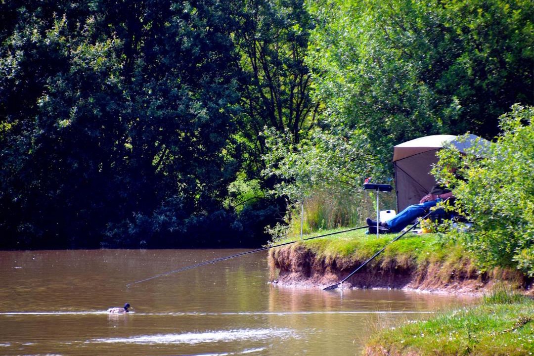 Photo of Others in Fitling