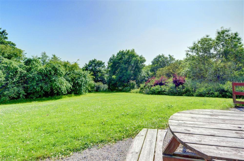 Photo of Others in Fence