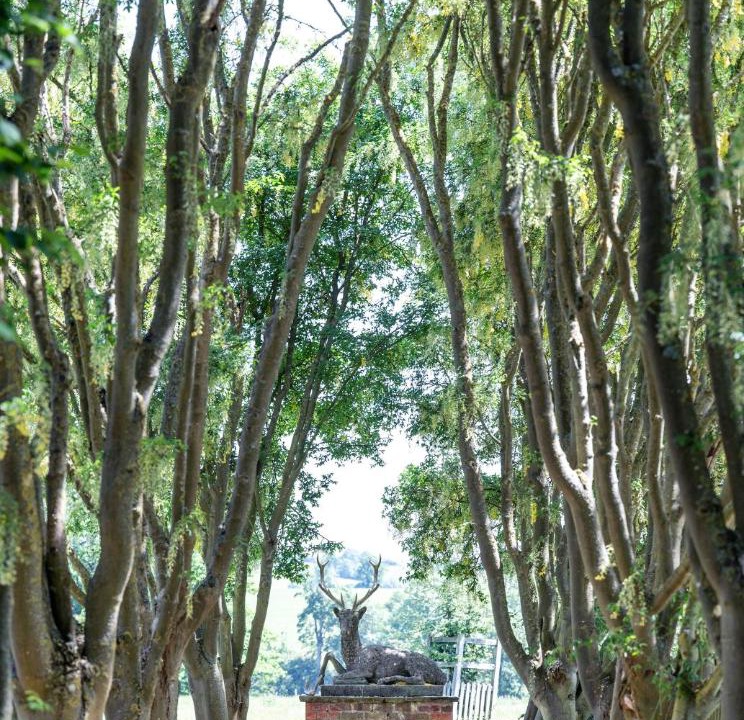 Photo of Others in Charwelton