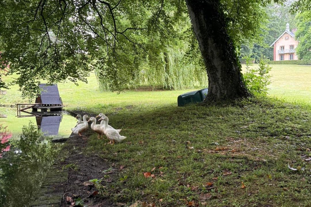 Photo of Others in Pierrefitte-en-Auge