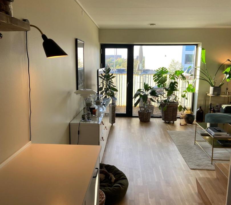 Photo of Others in Copenhagen