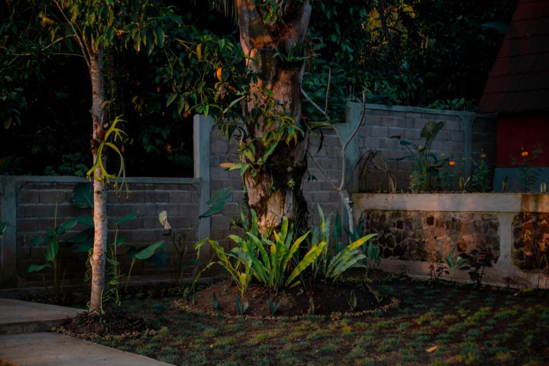 Photo of Others in Munduk