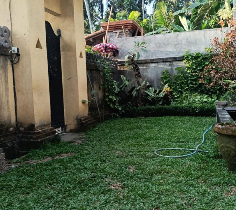 Photo of Others in Bongkasa Pertiwi
