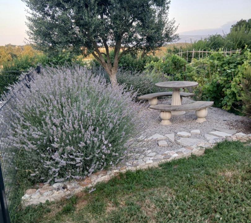 Photo of Others in Puylaurens