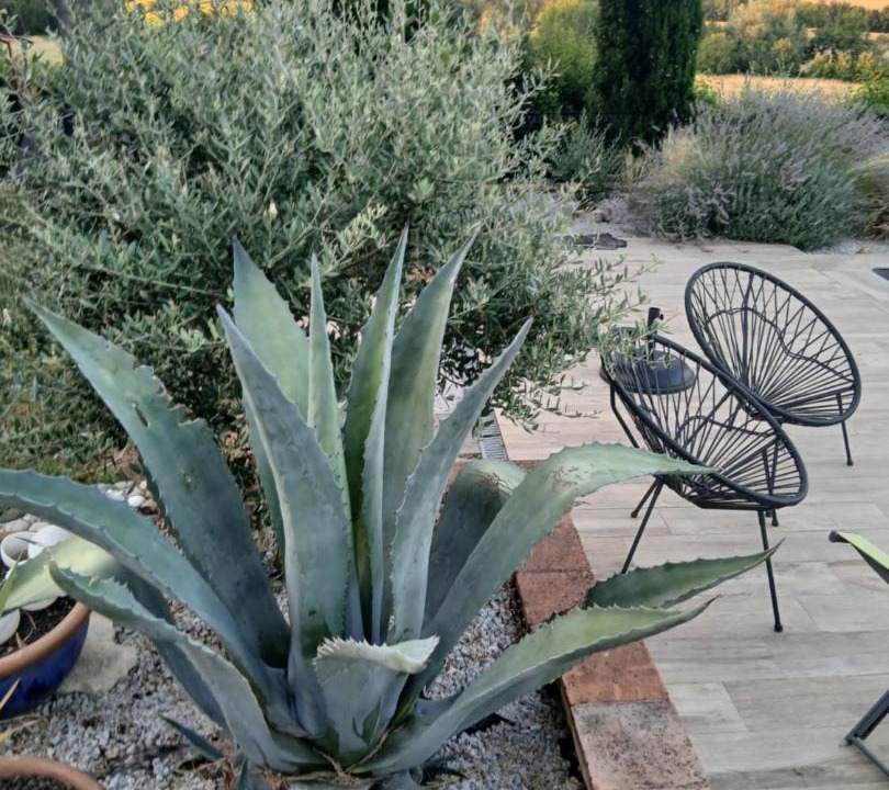 Photo of Others in Puylaurens