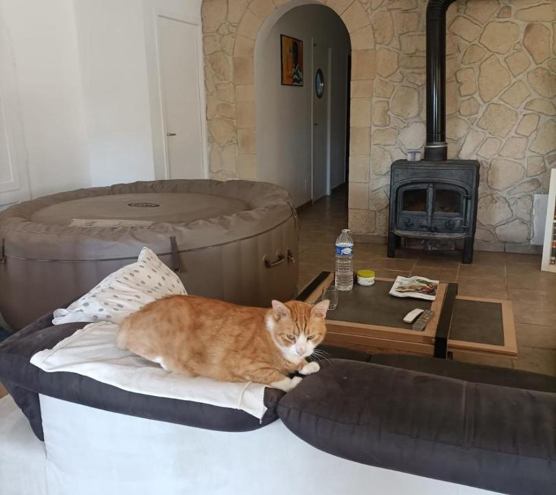 Photo of Others in Le Pouget