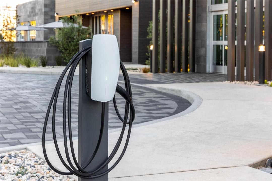 Photo of Others in Walnut Creek