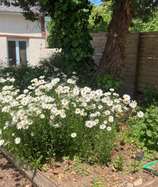 Photo of Outdoor in Brecey