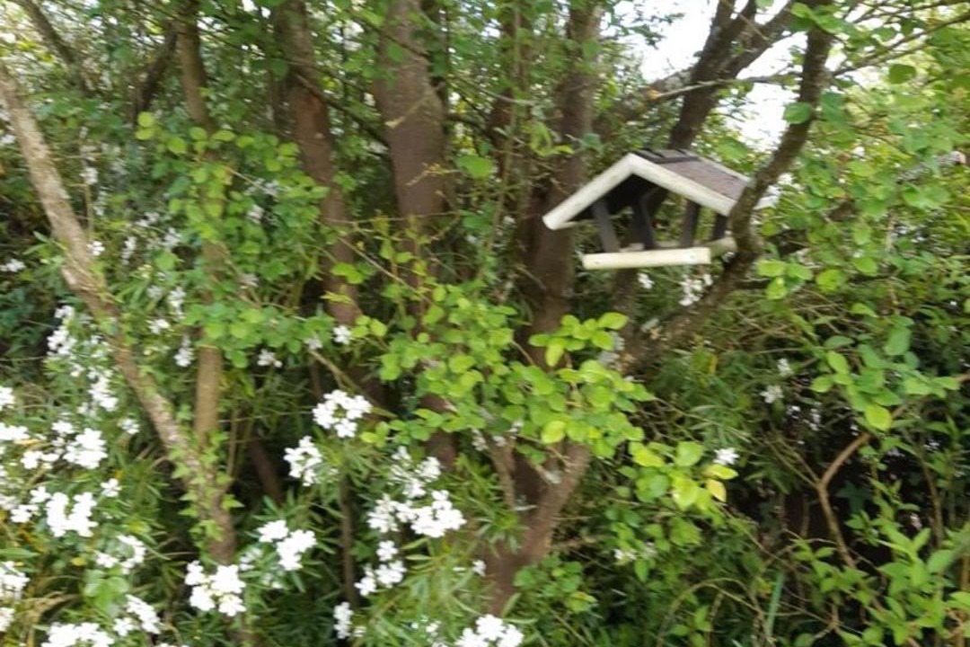 Photo of Outdoor in Luzille