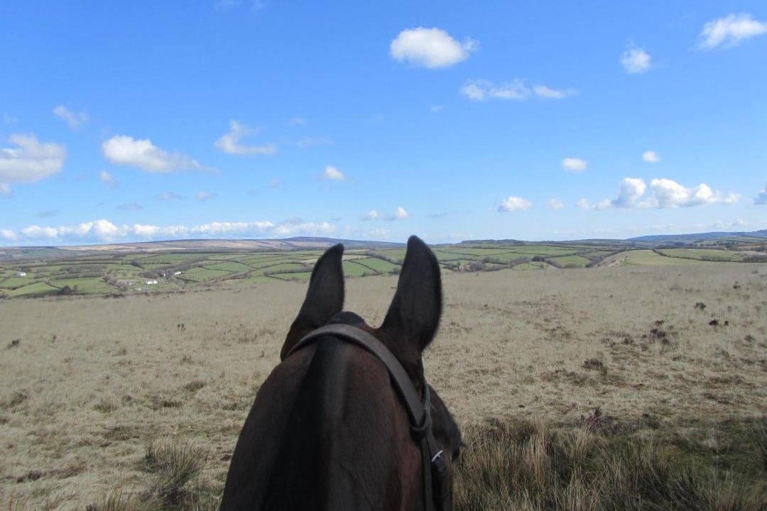 Photo of Others in Withypool