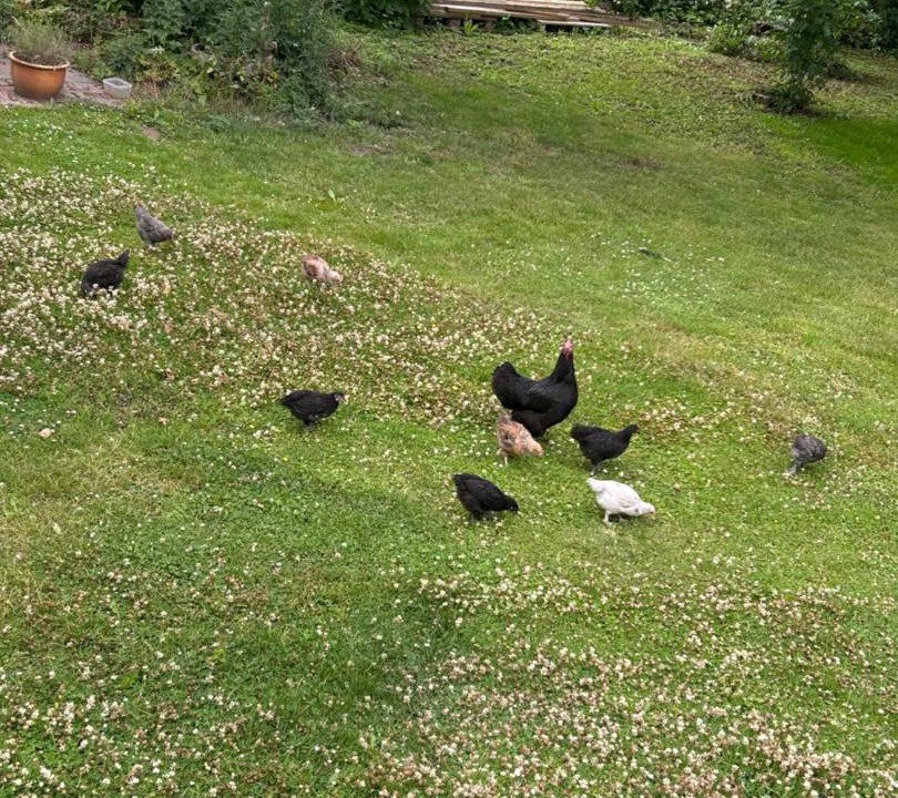 Photo of Others in Holbaek