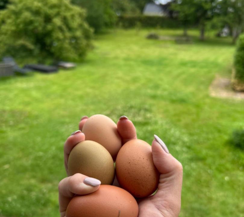 Photo of Outdoor in Holbaek