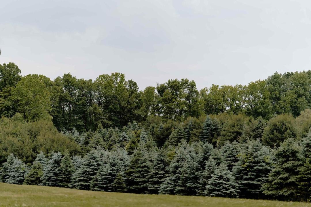 Photo of Others in Benton Harbor