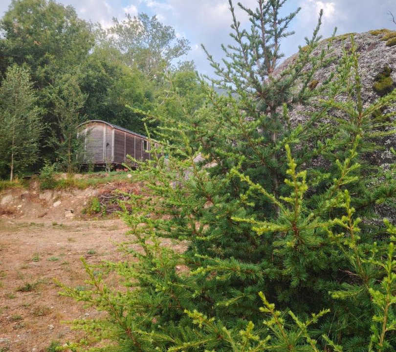 Photo of Others in Concoules