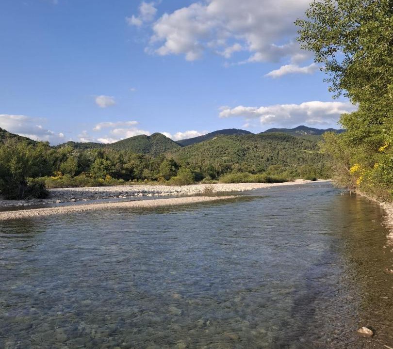 Photo of Others in Curnier