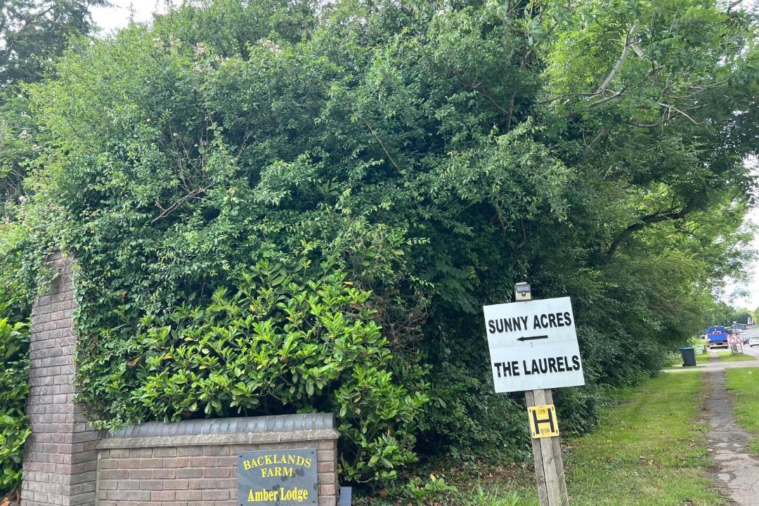 Photo of Others in Hickstead