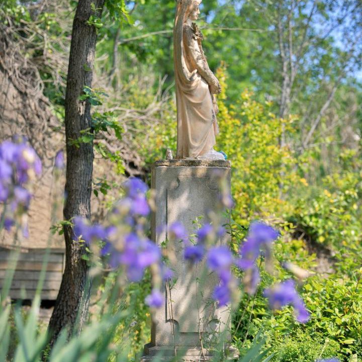 Photo of Others in Limoux