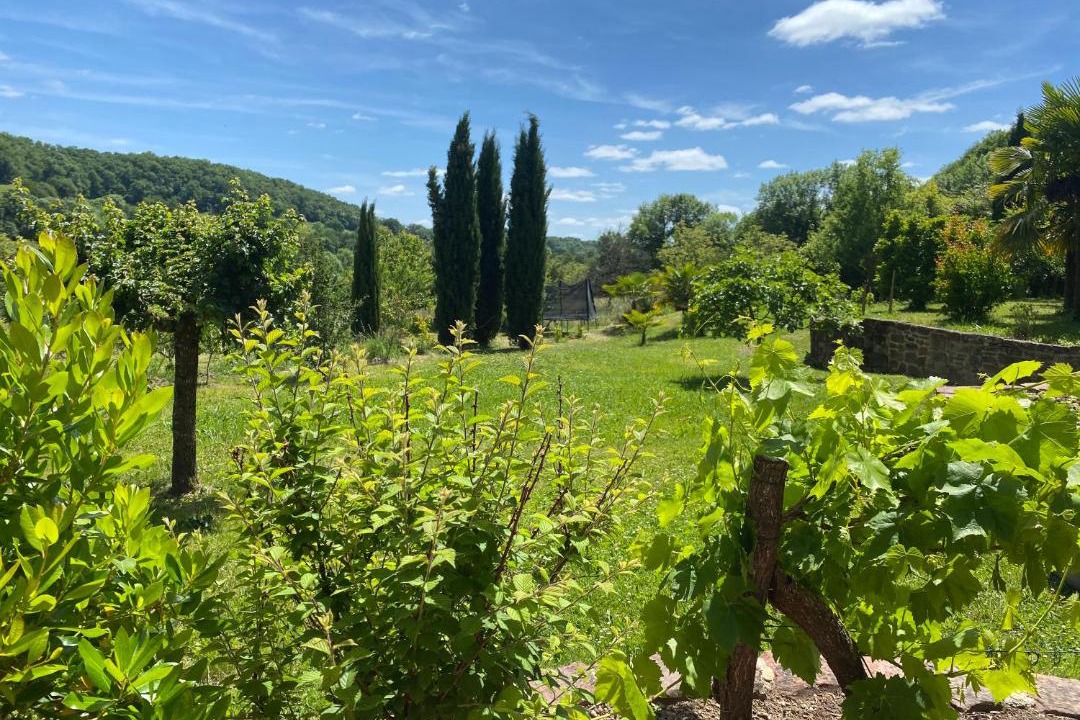 Photo of Others in Collonges-la-Rouge