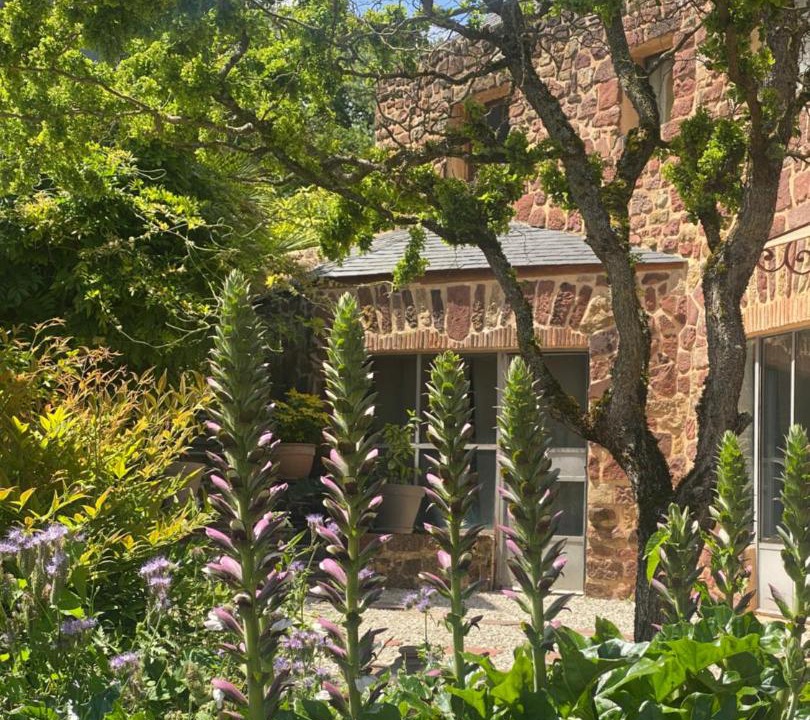 Photo of Others in Collonges-la-Rouge