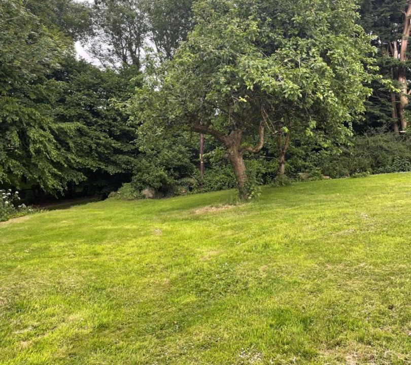 Photo of Outdoor in Thorverton