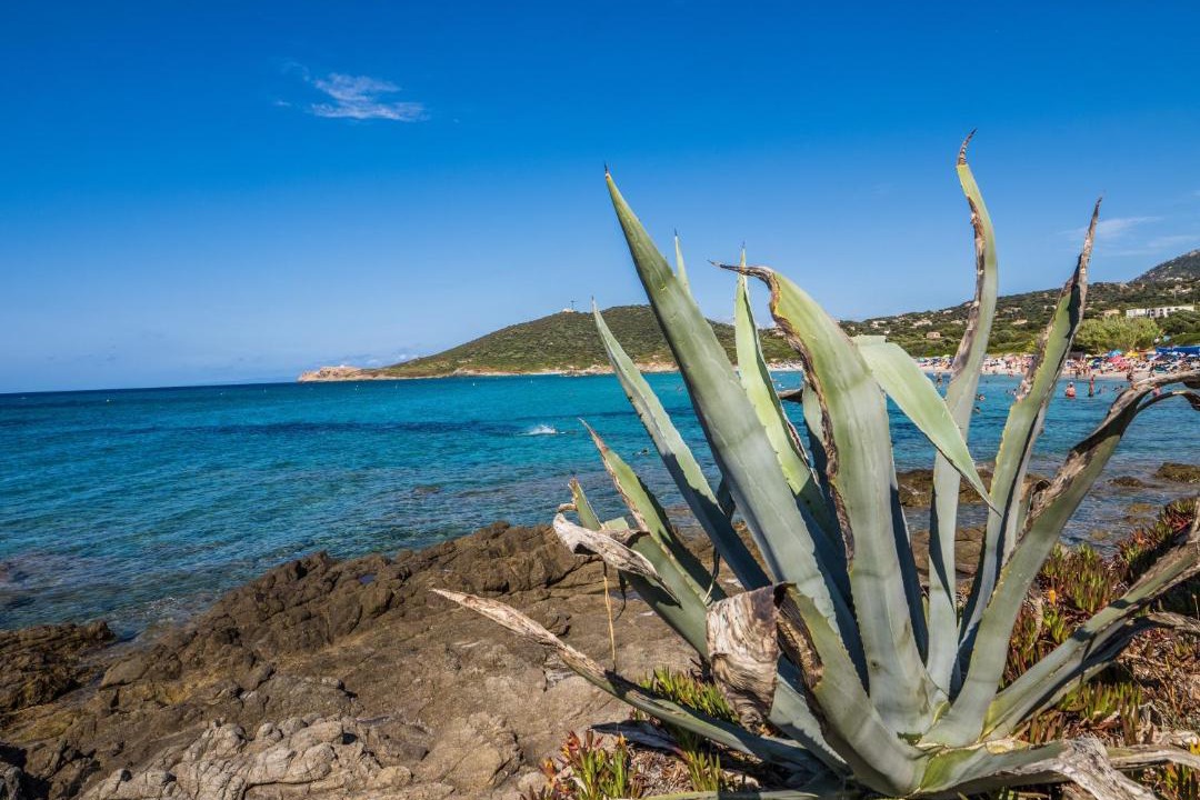 Photo of Others in Aregno