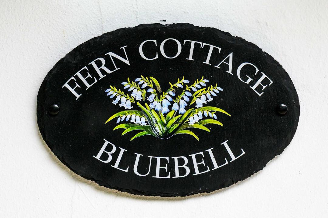 Photo of Others in Staple Hill