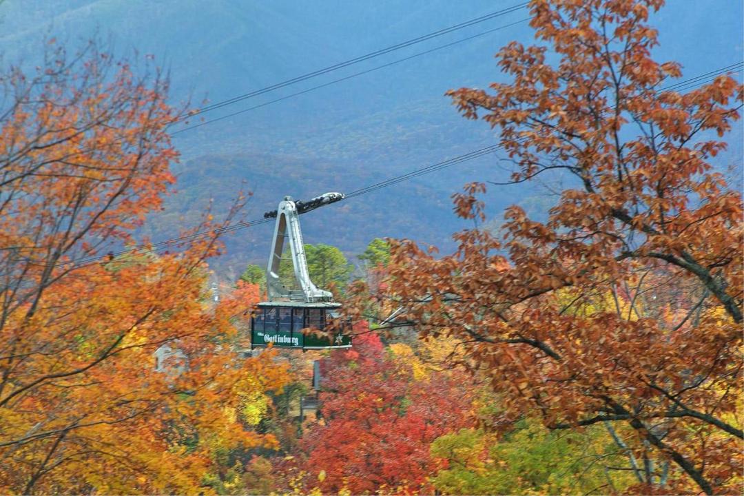 Photo of Outdoor in Gatlinburg